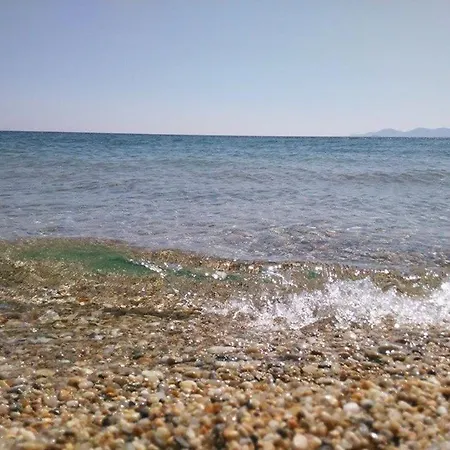 Dimitris &